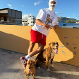 The underdog’s on top! 🐕